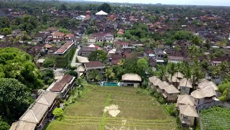 Wonderful-aerial-view-flight-Rice-field-surrounded-by-bamboo-huts-hotel-resort-nice-Swimming-pool-Bali,-Ubud-Spring-2017
