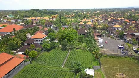 Gorgeous-aerial-view-flight-Rice-fields-in-a-small-asian-village-Bamboo-hut-hotel-resort-nice-Swimming-pool-Bali,-Ubud-Spring-2017
