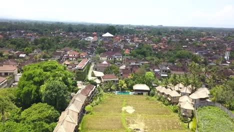 Breathtaking-aerial-view-flight-Ecological-rice-growing-farm-Bamboo-hut-hotel-resort-nice-Swimming-pool-Bali,-Ubud-Spring-2017