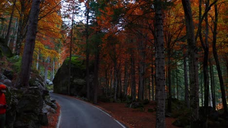 Aerial-Slow-Dolly-Over-Empty-Road-Through-Autumn-Road-In-Mountain-Forest-Past-Drone-Operator