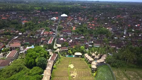 Fabulosas-Vistas-Aéreas-De-Campos-De-Arroz-En-Las-Afueras-De-Un-Pequeño-Pueblo-De-Bambú-Hut-Hotel-Resort-Agradable-Piscina-Bali,-Ubud-Primavera-2017