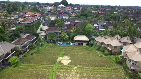 Spectacular-aerial-view-flight-Rice-fields-on-the-edge-of-a-small-asien-city-Bamboo-hut-hotel-resort-nice-Swimming-pool-Bali,-Ubud-Spring-2017