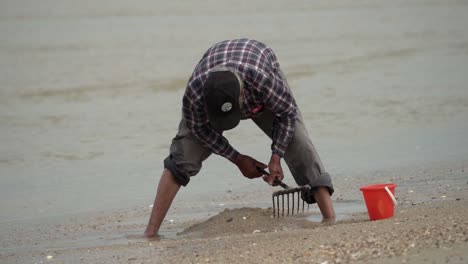 Fischer,-Der-Am-Strand-Steht-Und-Versucht,-Fische-Im-Nassen-Sand-Zu-Finden