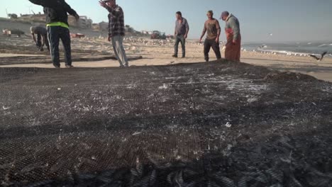 Springender-Fisch,-Der-Am-Strand-Von-Portugal-Im-Netz-Gefangen-Wurde