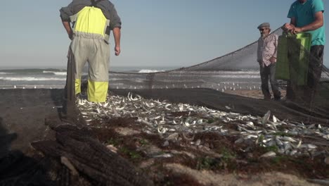 Fish-jumping-on-a-fishing-net-after-caught-by-fishermen