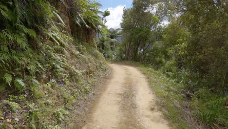 Caminata-Rápida-Por-Camino-De-Tierra-Entre-Exuberantes-Helechos-Arborescentes-En-Verano:-Camino-Costero-De-Camp-Bay,-Entrada-De-Esfuerzo,-Sonidos-De-Marlborough