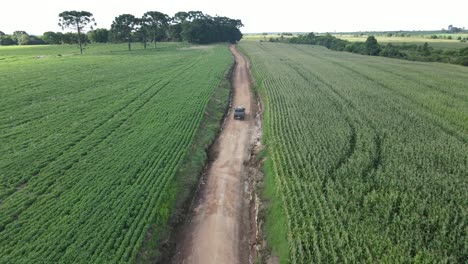 Rural-road-with-cornfield,-typical-farm-landscape-of-southern-Brazil,-drone-view