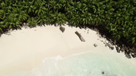 Mahe-Seychelles-drone-shot-of-clients-relaxing-under-trees-on-a-hot-sunny-day,-tide-getting-in-on-white-sandy-beach