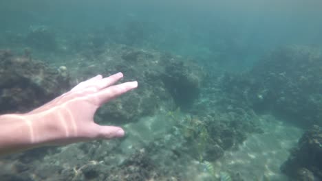 snorkeling-pov-shot-in-water
