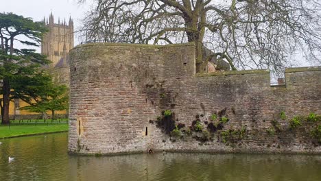 A-beautiful-landscape-view-of-the-historic-14th-century-Bishop's-Palace-and-moat-with-water-and-birds-in-the-city-of-Wells,-Somerset-in-West-Country-of-England