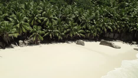 Mahe-Seychelles,-inductance-beach,-clients-relaxing-on-the-towels-under-the-coconut-palm-tree-during-a-hot-sunny-day