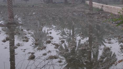 Pan-Left-View-Across-Waterlogged-Muddy-Field-In-Sindh