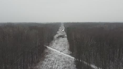 Drone-snow-forest-symmetrical-line-going-forward-on-a-cloudy-day
