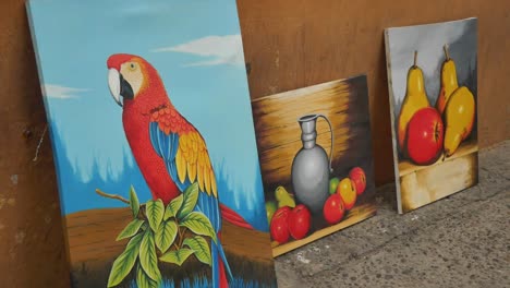 Ara--Und-Fruchtmalereien-In-Cartagena,-Kolumbien