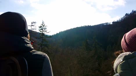 Forward-moving-shot-of-tourists-watching-the-beautiful-hilly-terrain-covered-with-dense-forest-on-a-cold-winter-day