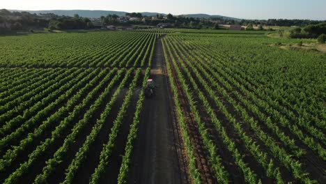 Toma-Aérea-De-Seguimiento-De-Un-Agricultor-Rociando-Pesticidas-Tóxicos-Sobre-Los-Viñedos-Cerca-De-Montpellier