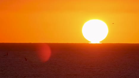 Nahaufnahme-Der-Atlantik-Sonnenuntergang-Zeitlupe-Mit-Erstaunlichen-Reflexionen-Am-Horizont-Und-Einigen-Möwen,-Die-über-Die-Sonne-Fliegen,-Filmisches-4k-Material