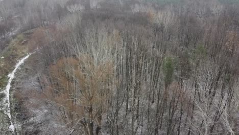 Schneebedeckte-Waldbäume-Bunte-Herbstdrohne-Folgen-Mit-Drohne