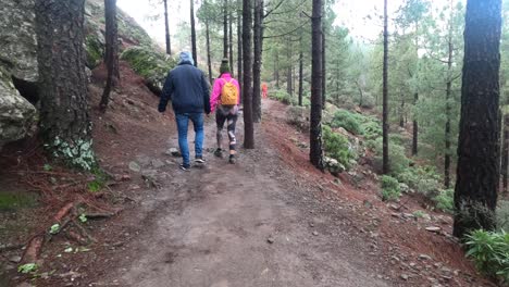 Las-Palmas-De-Gran-Canaria,-Spanien---24.-Januar-2023:-Wandergruppe,-Die-An-Einem-Nebligen-Morgen-Auf-Der-Gran-Canary-Island,-Spanien,-Zum-Roque-Nublo-Aufsteigt