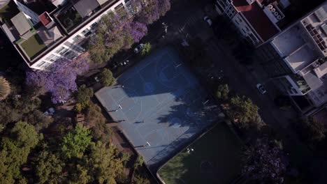 Blaue-Basketballplätze,-Die-Von-Einer-Drohne-Aus-Mit-Einem-Schuss-Von-Oben-Nach-Unten-Gesehen-Werden,-Umgeben-Von-Bäumen-Mit-Lila-Blumen-In-Mexiko-Stadt