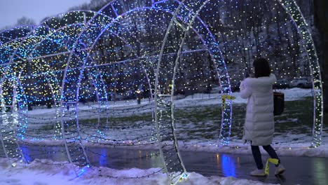 Niagara-Winterfest-Der-Lichter-Lichttunnel-Mit-Menschen,-Die-Fotos-Machen---Tag