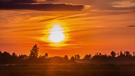 Zeitraffer-Der-Goldenen-Sonnenuntergangsbeleuchtung-Auf-Mystischen-Nebelfeldern-In-Der-Natur---Spektakuläre-Landschaft-Mit-Baumsilhouette,-Fliegende-Wolken-Am-Orangefarbenen-Himmel