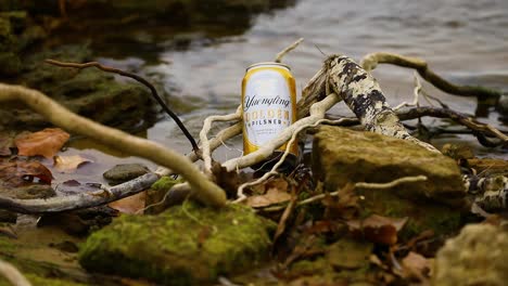 This-is-a-static-shot-of-Yuengling-Golden-Pilsner-beer-can-in-roots-by-the-lake