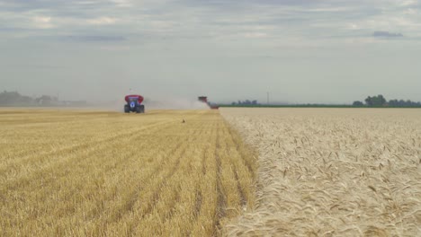 A-tractor-and-a-combine-harvesting-a-wheat-field