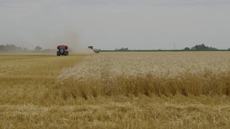 Un-Tractor-Y-Una-Cosechadora-Cosechando-Un-Campo-De-Trigo