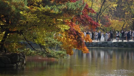 Grupo-De-Personas-Con-Máscaras-Toman-Fotos-Cerca-De-La-Pagoda-De-Piedra-Del-Estanque-Chundangji-En-Otoño,-Palacio-Changgyeonggung,-Covid-19,-Seúl-Corea-Del-Sur