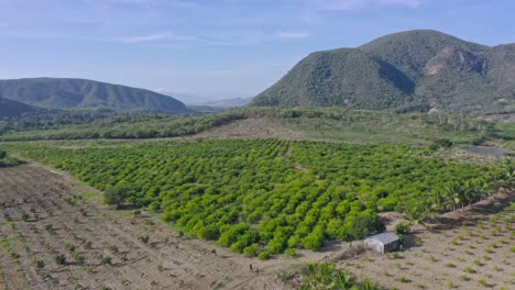 Luftaufnahme-Der-Landschaft-Mit-üppigen-Hügeln-Und-Vegetation-In-Las-Yayas-De-Viajama,-Dominikanische-Republik---Drohnenaufnahme