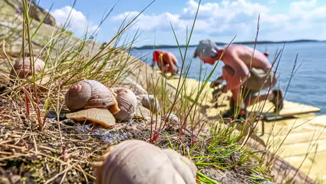 Nahaufnahme-Von-Schnecken,-Die-Auf-Dem-Gras-Neben-Dem-See-Kriechen