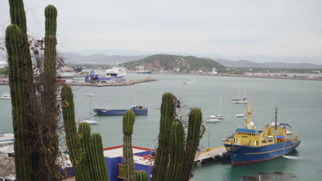 A-cactus-plant-sits-in-front-of-a-industrial-port-in-Mazatlan,-Sinaloa-Mexico-on-the-pacific-ocean-with-boats,-mountains-and-beaches-in-background