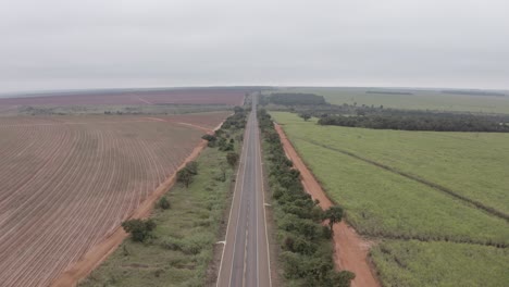 Road-next-to-a-crop-field-in-South-America-filmed-by-a-drone---horizontal-shot-moving-forwards