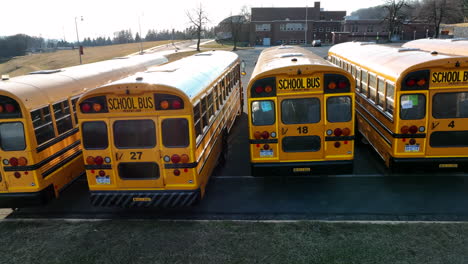 School-bus-line-up