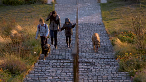 Familia-Con-Dos-Perros-Subiendo-Escaleras-Pavimentadas-En-El-Parque-En-Otoño