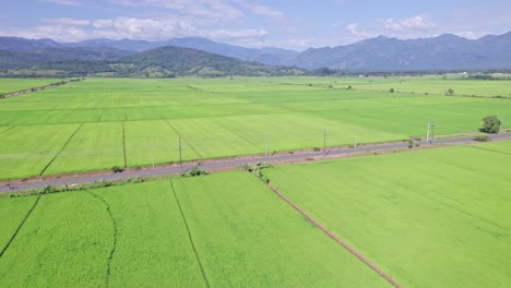 Aerial-flyover-green-agricultural-rice-farm-fields-and-mountain-range-in-backgro8und---Bonao,Dominican-Republic