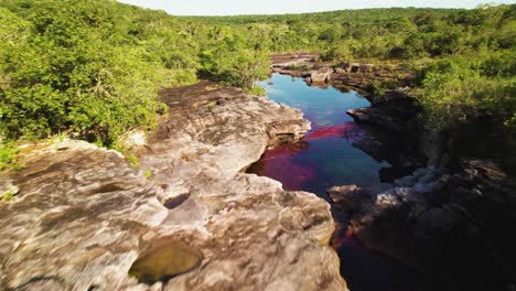 Ein-Felsiges-Flussbett-Aus-Sieben-Farben-Von-Caño-kristallen-Mit-Rotalgen,-Die-Durch-Den-Grünen-Regenwald-Fließen---Kolumbien