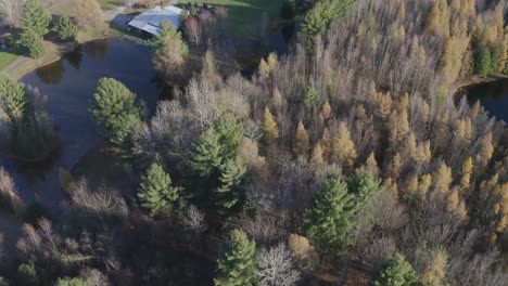 Drone-aerial-clip-reveal-from-a-forest-to-a-beautiful-acreage-property-with-a-large-pond-and-a-bunch-of-old-buildings-in-the-Ottawa-region-