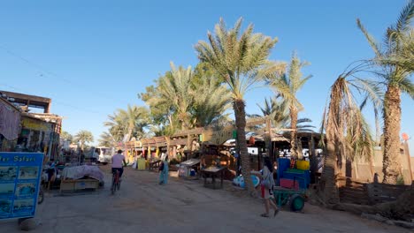 Gente-Local-Caminando-A-Lo-Largo-De-Puestos-Callejeros-Junto-Al-Mar-De-Dahab-Con-Costa-De-Palmeras-En-Egipto-A-La-Luz-De-La-Mañana