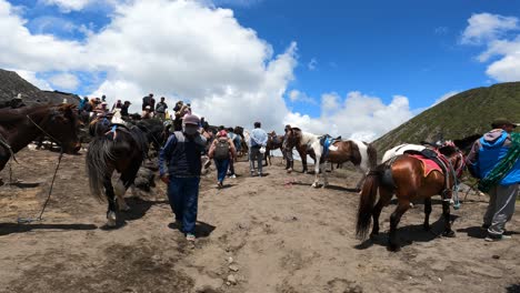 Horses-as-transportation-to-go-down-or-up-to-the-peak-area-of-Bromo