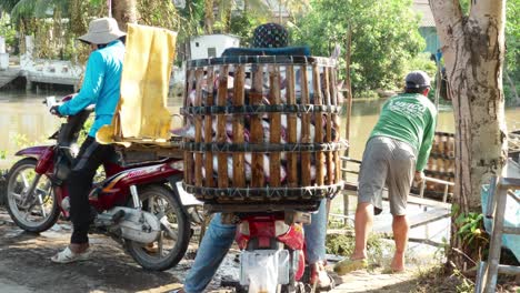 Close-up-shot-of-bikers-unloading-fish-tray-at-Can-Tho-city