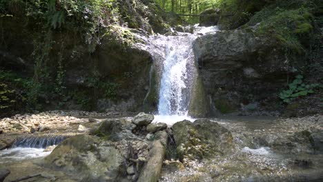 Static-shot-of-flowing-waterfall-down-between-forest-trees-in-alp-mountains-during-sunny-day
