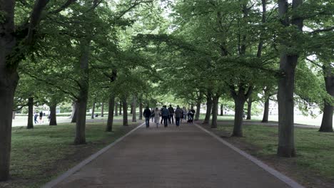 People-Walk-in-Shade-of-Greenwich-Park-Alley-Trees-on-Sunny-Day