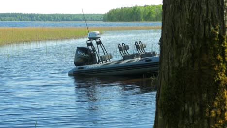 Beautiful-view-of-a-Lake-Usma-shore-on-a-sunny-summer-day,-distant-islands-with-lush-green-forest,-rural-landscape,-coast-with-old-reeds,-medium-shot-with-the-boat-on-the-water