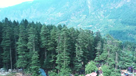 Toma-Aérea-Del-Bosque-De-Pinos-De-Manali