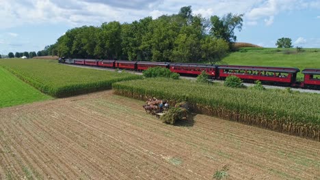 Eine-Drohnen-Seitenansicht-Von-Amish,-Die-Ihren-Mais-Mit-Sechs-Pferden-Und-Drei-Männern-Ernten,-Wie-Es-Vor-Jahren-Getan-Wurde,-Während-Ein-Dampf-Personenzug-An-Einem-Sonnigen-Herbsttag-Vorbeifährt