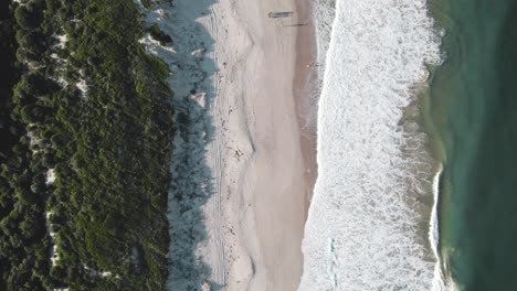 Beweglicher-Überblick-Aus-Der-Vogelperspektive-über-Den-Magentafarbenen-Strand,-Während-Die-Wellen-Am-Ufer-Brechen