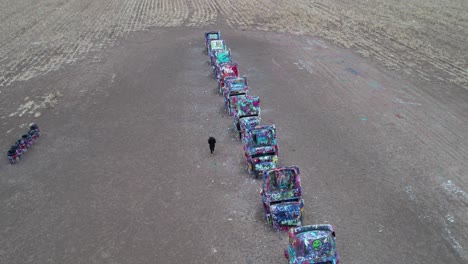 Vista-Aérea-De-Una-Persona-Solitaria-Caminando-Por-Autos-Pintados-De-Colores-Del-Rancho-Cadillac,-Instalación-De-Arte-Por-La-Ruta-66-Y-Amarillo,-Texas-Usa