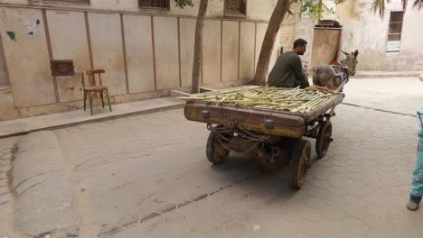 Old-Cairo-city-street-view-showing-the-Egyptian-culture-and-lifestyle-of-local-people-with-a-donkey-pulling-a-cart